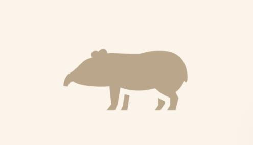 Meaning of Tapir in English